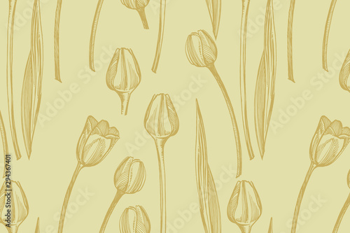 Collection of hand drawn flowers and plants. Botany. Set. Vintage flowers. Bl...