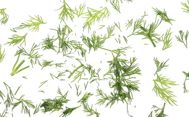 Wall Mural - Fresh chopped, cut green dill isolated on white background, top view