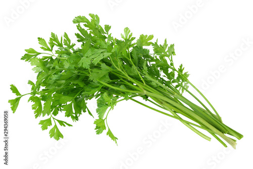 Cuadros en Lienzo green fresh parsley isolated on white background. parsley bunch