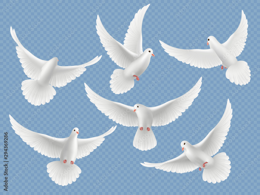 Realistic doves. White freedom flying birds pigeons religion symbols vector pictures collection. Set of pigeon and white dove freedom illustration - obrazy, fototapety, plakaty 