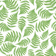 © Olya Haifisch - Watercolor green fern leaves seamless pattern. Hand drawn botanical illustration isolated on white background. Floral illustration for textile, fabrics, design, wallpaper, covers, cards, invitation.