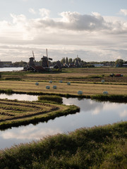 Wall Mural - A typical Dutch landscape in the village with fields and windmills.