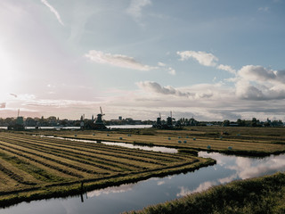 A typical Dutch landscape in the village with fields and windmills.