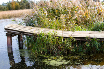 Pier on the river and lake. A place for fishing. Wooden bridge to the water. The road in the reeds. Wild nature. A fabulous place to relax.