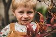© Mareen Fischinger - Little boy holding up autumn leaves of maple tree