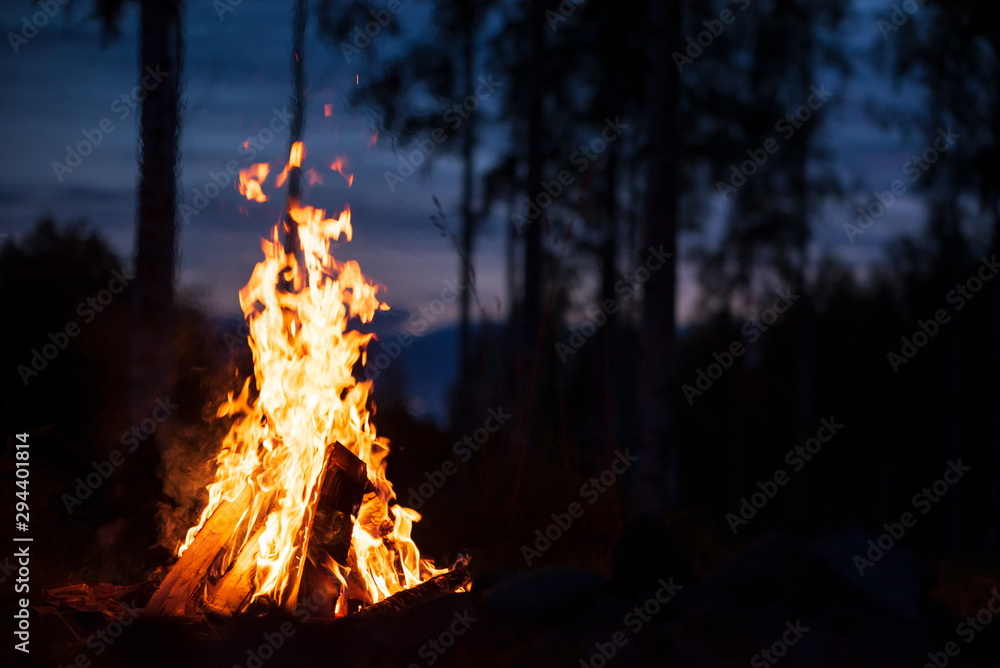 Burning campfire on a dark night in a forest - obrazy, fototapety, plakaty 