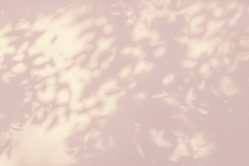 Wall Mural - abstract rose gold light bokeh of natural leaves shadow background of tree branch falling on white c