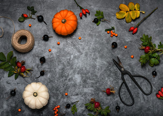 Frame made of colorful pumpkins, rose hips, firethorn berries, leaves on rustic gray background. Autumn fall concept. Top view. Copy space.