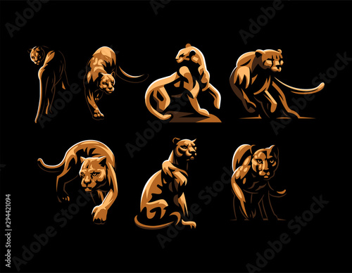 Photographie Wild cats. Jaguar, cheetah, leopard, panther.