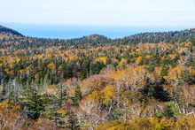 秋の知床　知床横断道路から見る紅葉の原野とオホーツク海（北海道・斜里町）