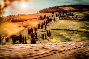 Poster - Autumn landscape of Tuscany and fall time.  Free space for your decoration. 