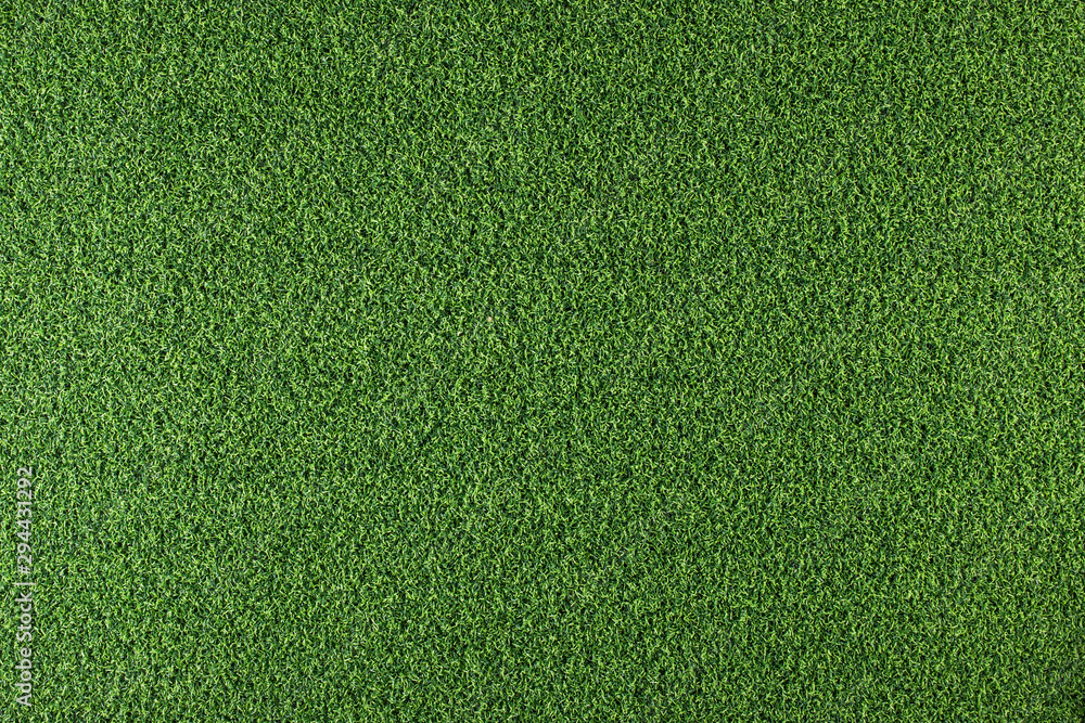 Texture of green grass - obrazy, fototapety, plakaty 