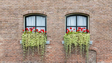 Background With Classic Farmer Or Caste Windows With Red Geranaium And Hanging Plants