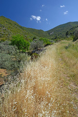 Wall Mural - Naturlandschaft mit Lava-Gestein auf der Halbinsel Methana, Peloponnes, Griechenland - Landscape with lava stones on the peninsula Methana, Peloponnese, Greece