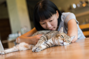 Wall Mural - woman touch her cat