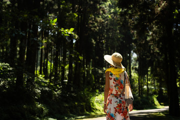 Wall Mural - woman hiking in the forest at Xitou