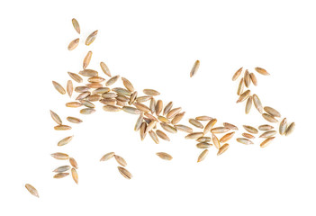 Wall Mural - Rye grains isolated on a white background, top view.