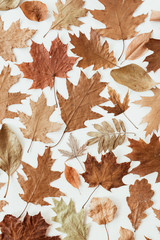 Wall Mural - Autumn, fall composition. Beautiful background of brown, orange, beige dried leaves. Creative autumn pattern. Flat lay, top view.