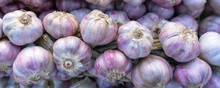 Garlic On The Market