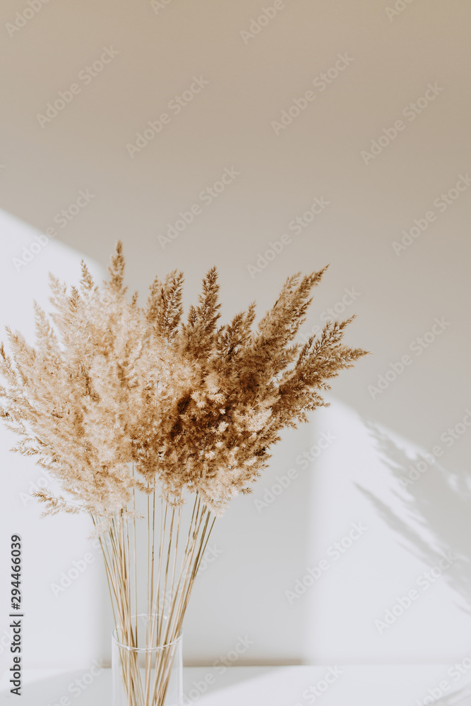 Beige reeds in vase standing on white table with beautiful shadows on the wall. Minimal, styled concept for bloggers. Parisian vibes. - obrazy, fototapety, plakaty 