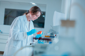 Wall Mural - young science technologist female making testing while doing research in science laboratory.