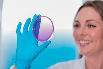 Wall Mural - woman scientist holding molds in petri dish with mea malt extract agar. medical tests in laboratory 
