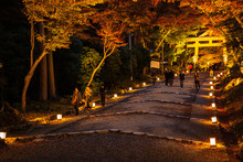日本の秋 滋賀 日吉大社73 　Autumn In Japan, Shiga Prefecture, Hiyoshitaisha #73