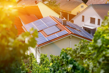 Solar panels on the tiled roof of the building in the sun. Top view through grape leaves. For alternative energy design. Selective focus.