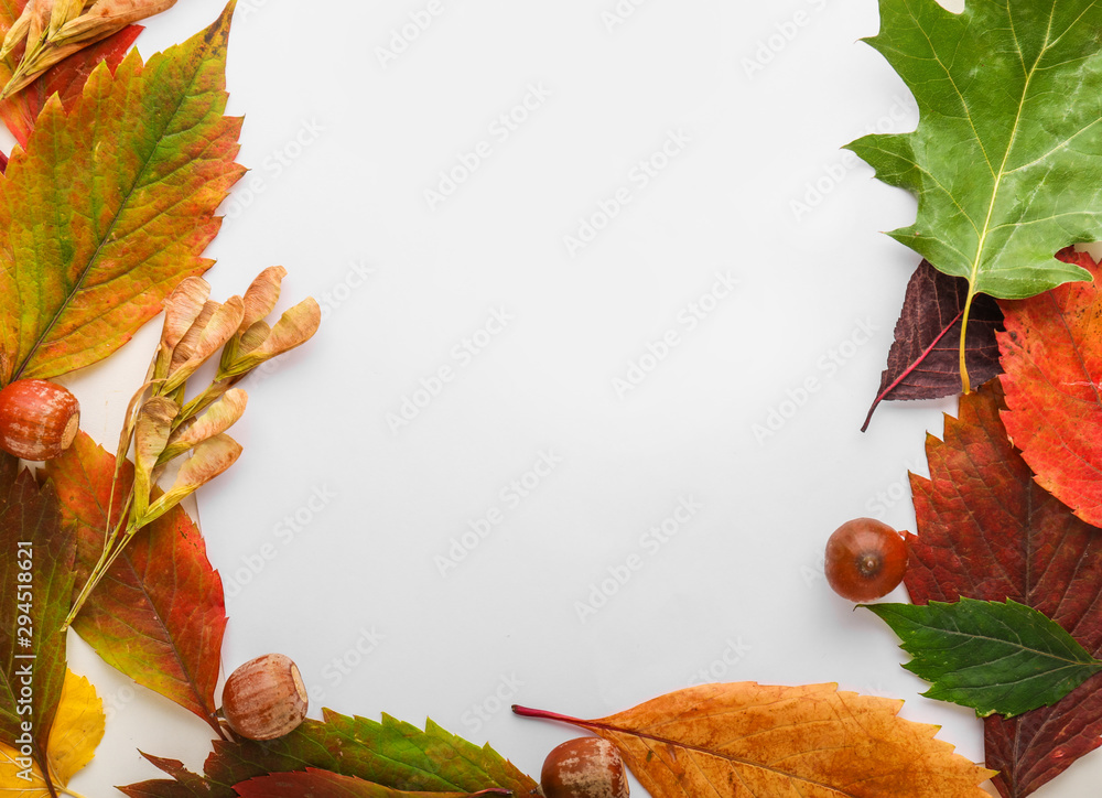 Frame made of beautiful autumn leaves on white background