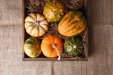 High Angle Shot Of A Group Of Autumn Gourds, Squash And Pumpkins In A Wood Box On Burlap.