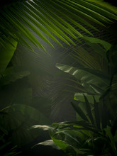 Fragment View Of Nice Mist  Green Tropical Jungle