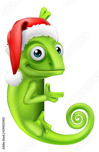 A chameleon lizard animal c...