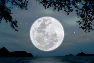 full moon with silhouette nature in the night.