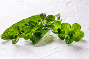 Small bunch of fresh herbs (thyme and sage) on white background. Copy space.