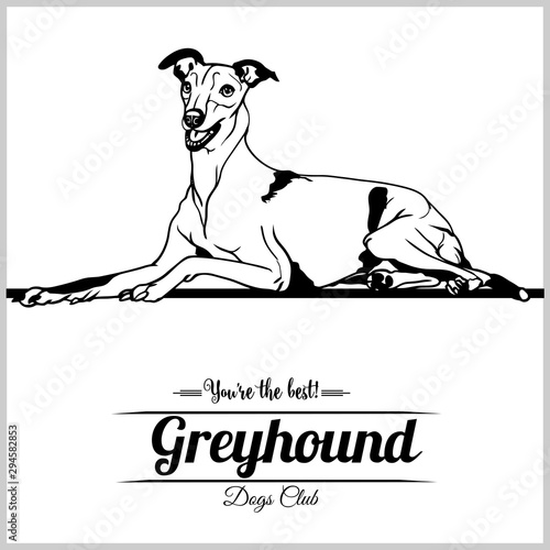 Fotografía Greyhound Dog - vector illustration for t-shirt, logo and template badges