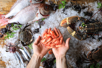 Top view of chef's hands full of small fresh prawns on a background of ice and sea food