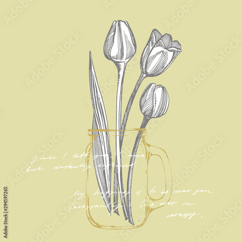 Tulip flower graphic sketch illustration. Botanical plant illustration. Vinta...