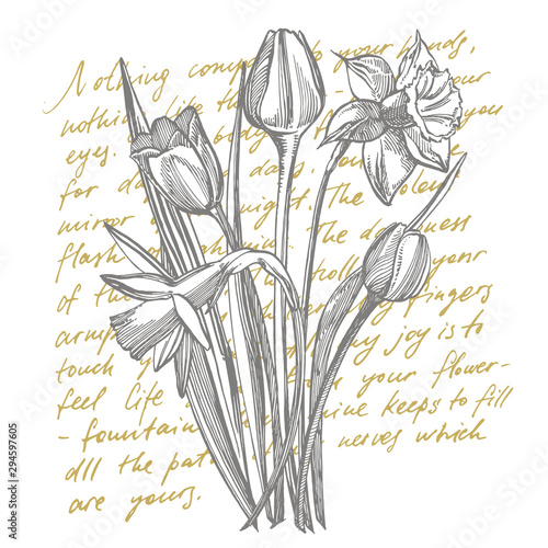 Tulips and Narcissus flowers bouquet isolated on white background. Set of dra...