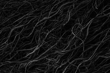 Beautiful Black, White And Grey Texture Background. Dark Abstract Nature Background Texture Of Dry Tree Roots.