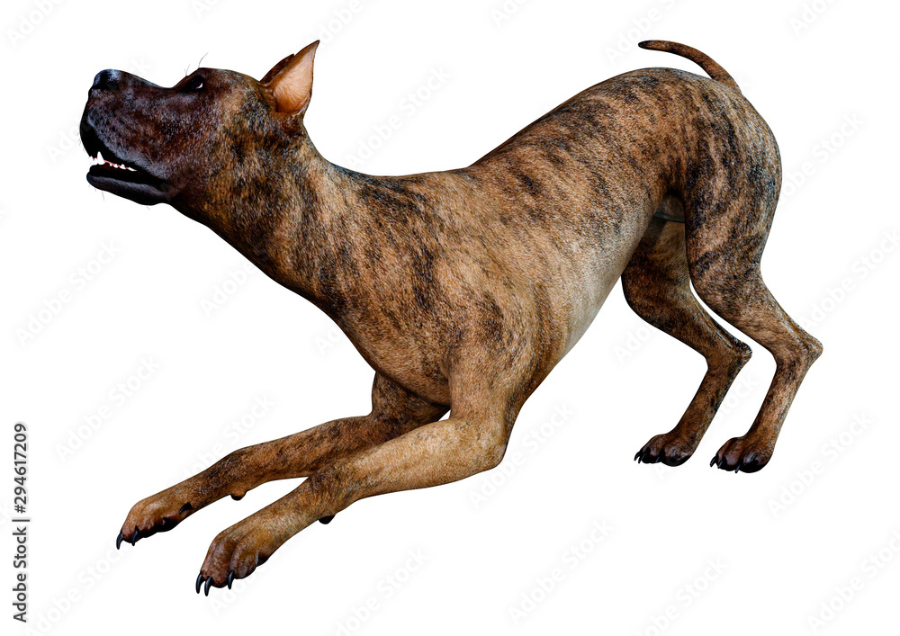 3D Rendering Great Dane Dog on White - obrazy, fototapety, plakaty 