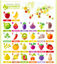 Alphabet Food Infographics. Fruit, Vegetable, Berry, Spice Icon Set. Baby Cartoon Cute Modern Template. Vector ABC Illustration, World Map, Back To School Education Design. Apple, Pumpkin, Tomato, Fig