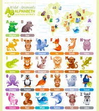 Alphabet Wildlife Infographics. Wild Animal, Sea Life, Bird. Baby Cartoon Cute Modern Template. Flat Vector ABC Illustration, World Map, Back To School Education Design. Elephant, Monkey, Rabbit, Fox