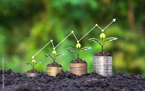 Cuadros en Lienzo Plant small plants on coins stacked on the concept of saving money and growing money