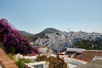 Wall Mural - Top view of typical village streets in southern Andalucia, Frigiliana town