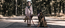 Panoramic Shot Of Kid Standing On Road With Teddy Bear And German Shepherd Dog, Post Apocalyptic Concept