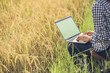 © sutlafk - asia woman farmer sitting use laptop at the gold rice field to takes care of her rice. young own business start up farm. communication network on computer technology internet of things.