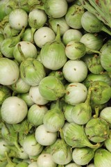 Canvas Print - Fresh eggplant green organic at street food