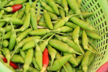 Canvas Print - Fresh chilli for cooking at street food