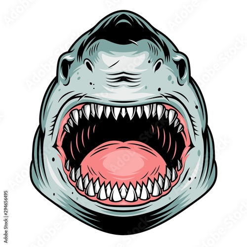 Colorful aggressive shark head concept Poster Mural XXL