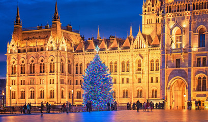 Wall Mural - Nice Christmas tree in front of the Hungarian Parliament